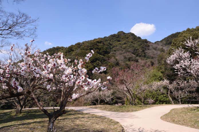 梅林公園