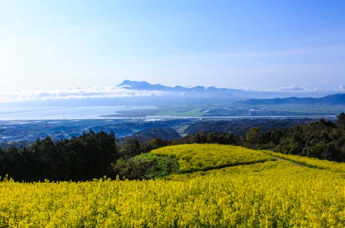 白木峰高原