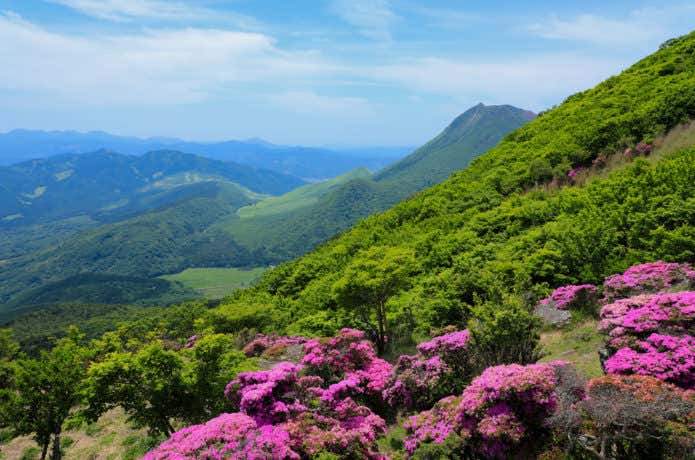 九州の鶴見岳