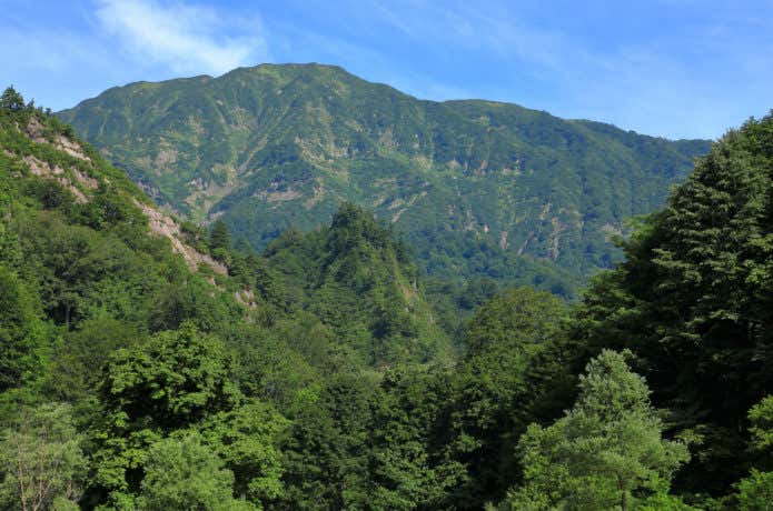 浅草岳を見上げる