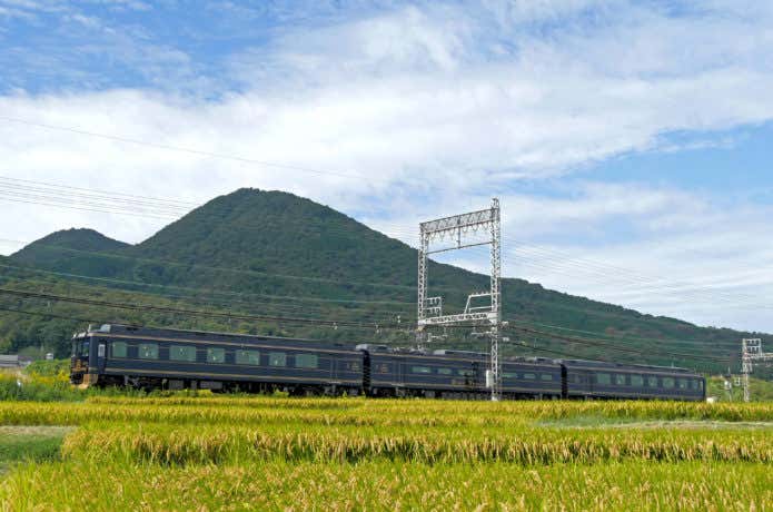 稲穂と電車