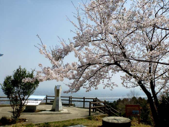 春の多度山