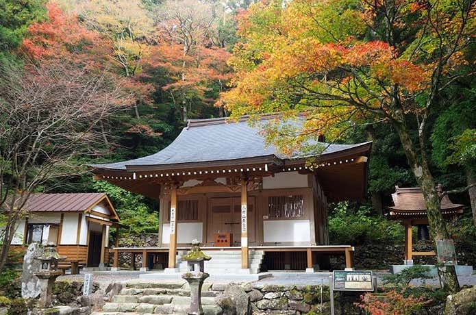 金泉寺