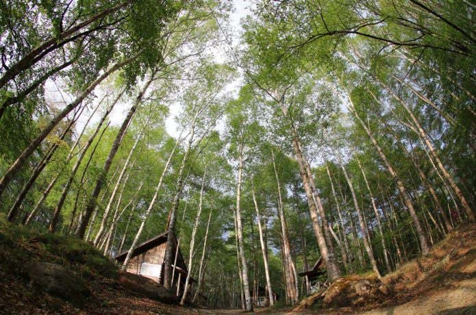 みずがき山森の農園キャンプ場
