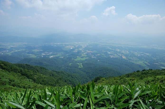 蒜山　景色
