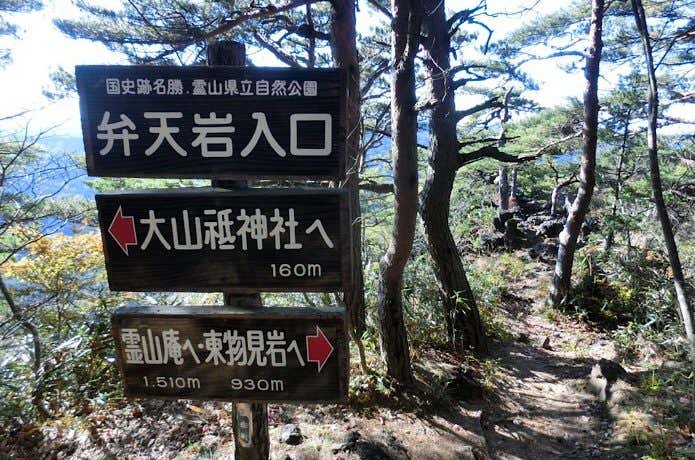 分岐