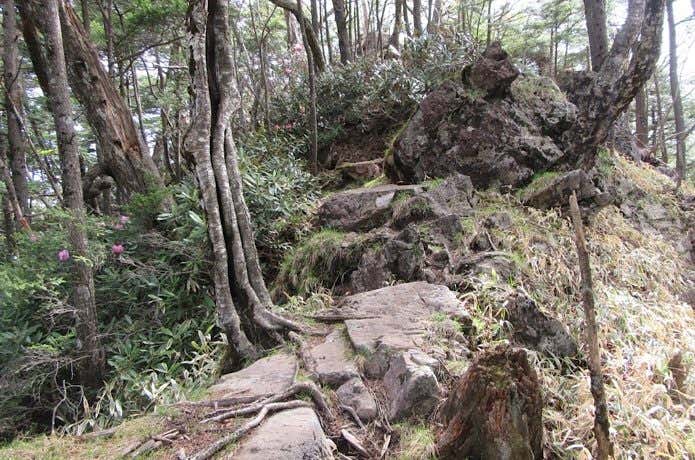 岩場の下り道