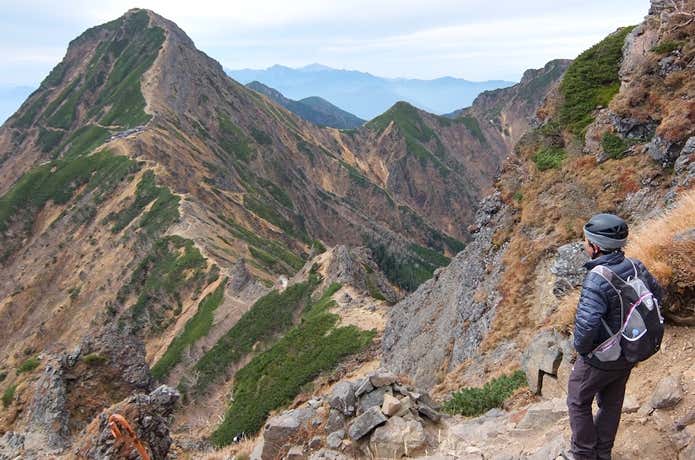 膝痛 サポーター タイツ
