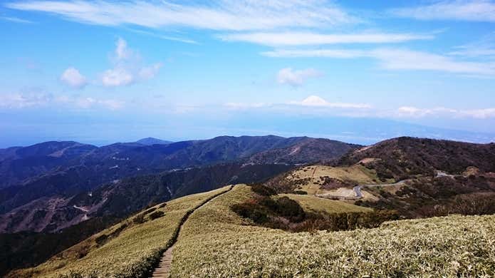 達磨山　稜線