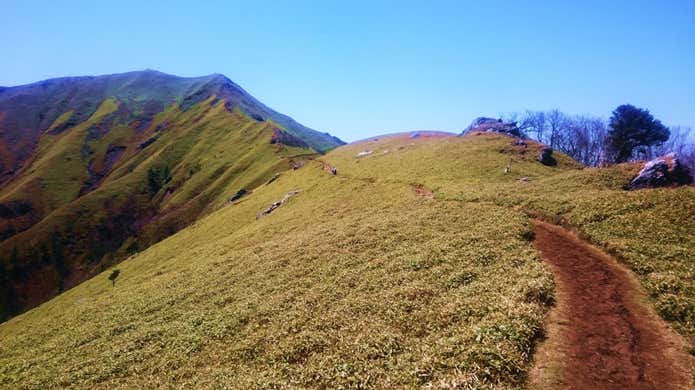 登山道