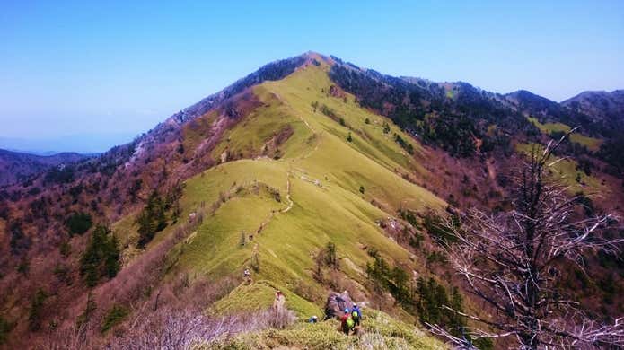 剣山　稜線の登山道
