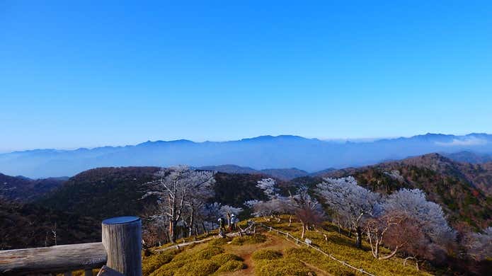 大台ヶ原