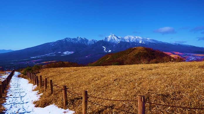飯盛山　山頂付近の草地