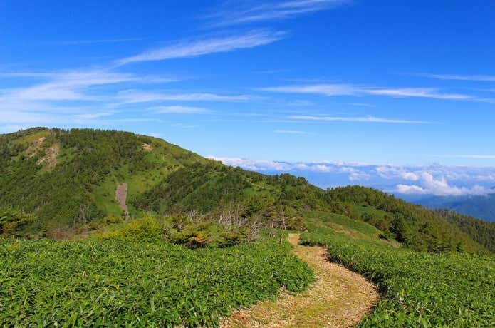 天空の散歩道