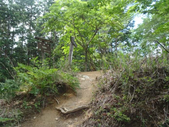 小高山