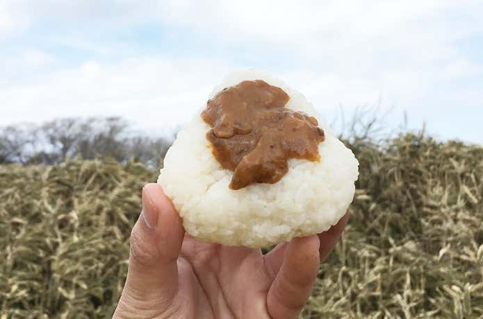 仁丹食養生カレー