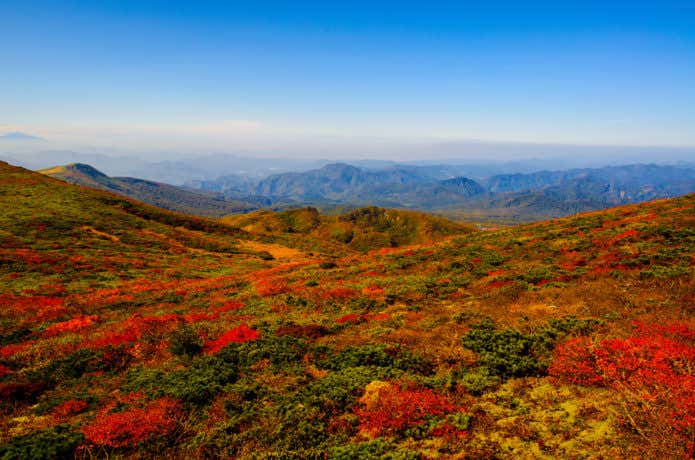 栗駒山　神の絨毯