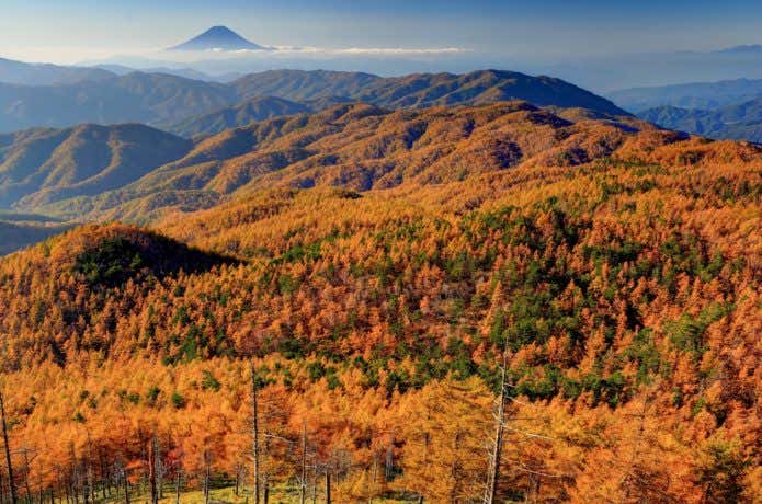 紅葉期の笠取山