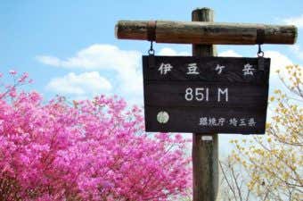 伊豆ヶ岳