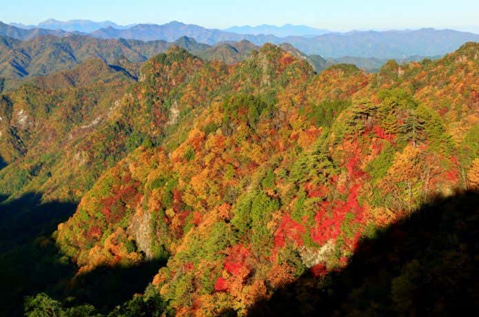両神山　紅葉