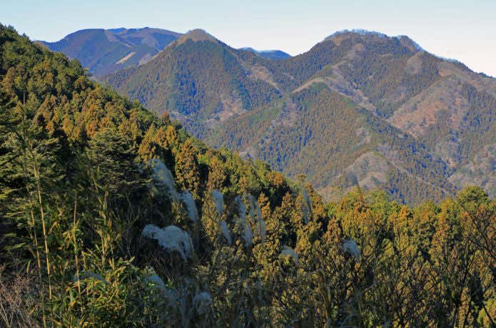 伊豆ヶ岳
