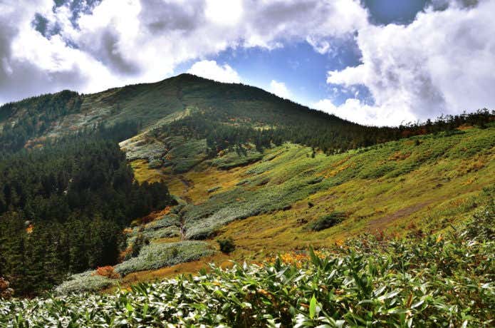 吾妻山