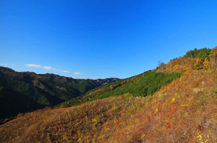八溝山　紅葉シーズン
