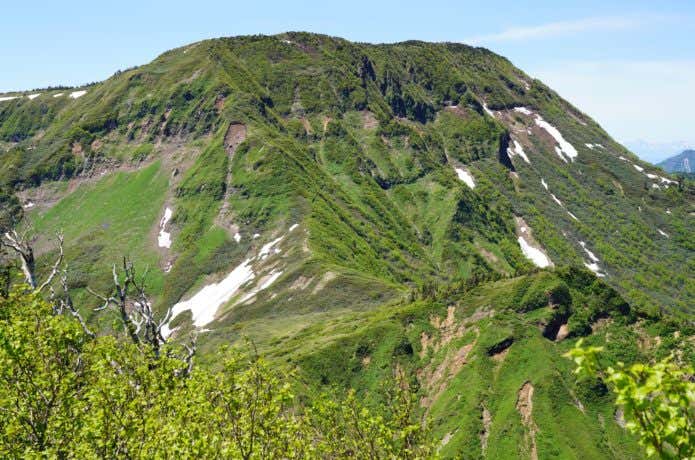 苗場山