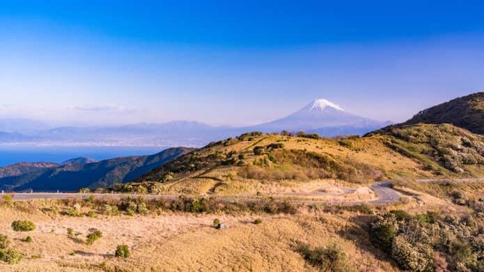 達磨山