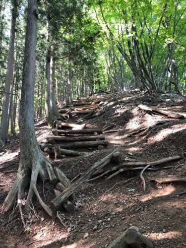 伊豆ヶ岳登山道