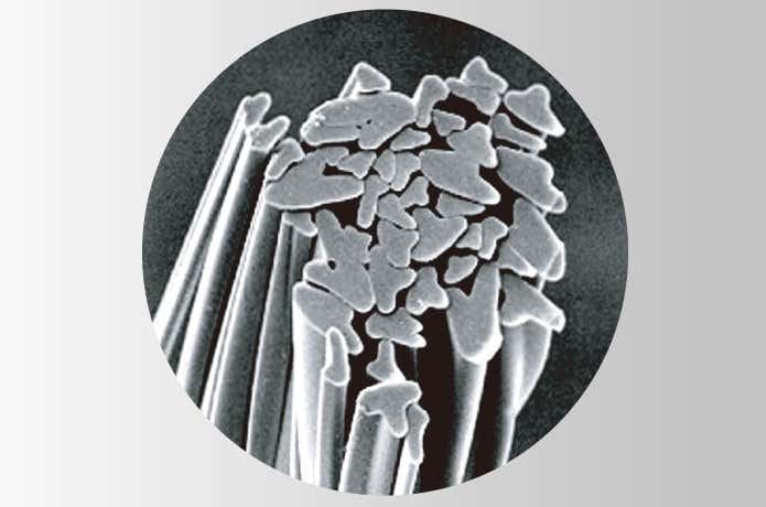 スキンメッシュの繊維の断面画像