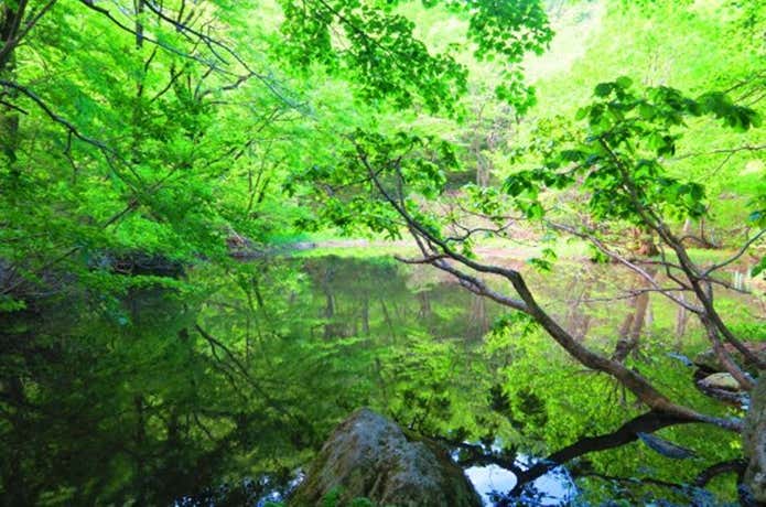 大池