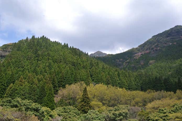 八丁坂から見上げる経ヶ岳経ヶ岳