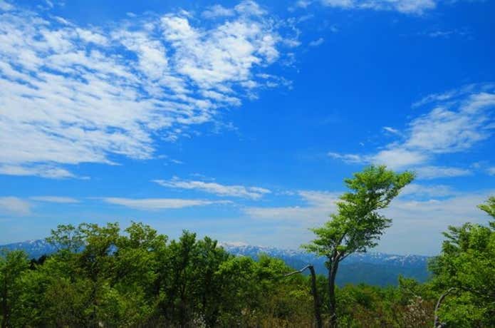 山頂からの景色