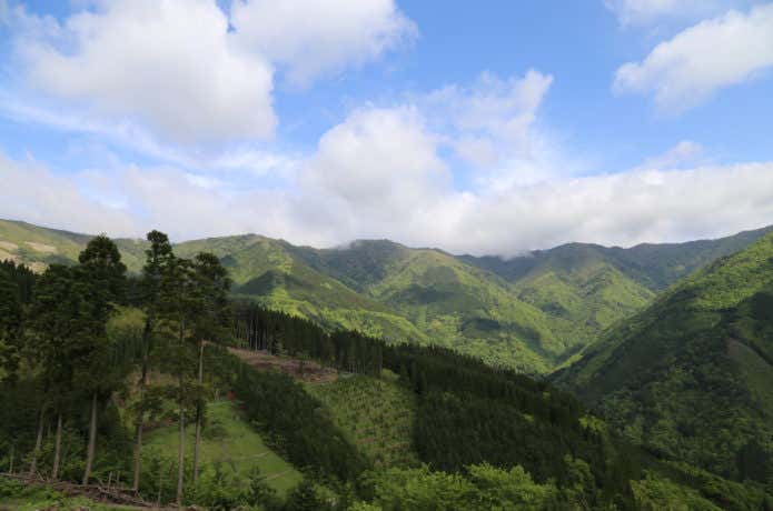 国見岳　景色