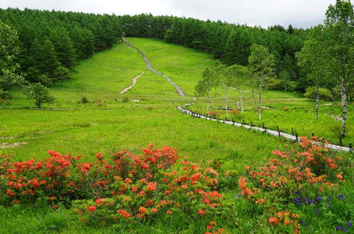 入笠山