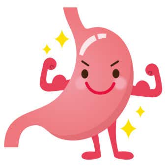 胃のイラスト
