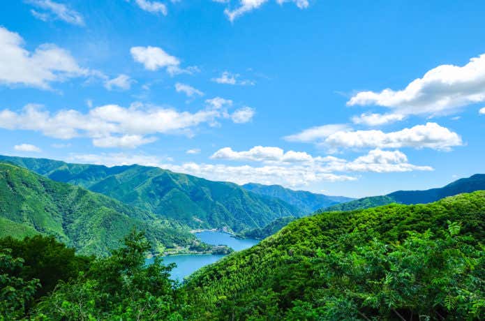 奥多摩の自然