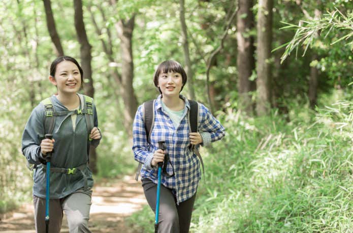 ゆるい傾斜の登山