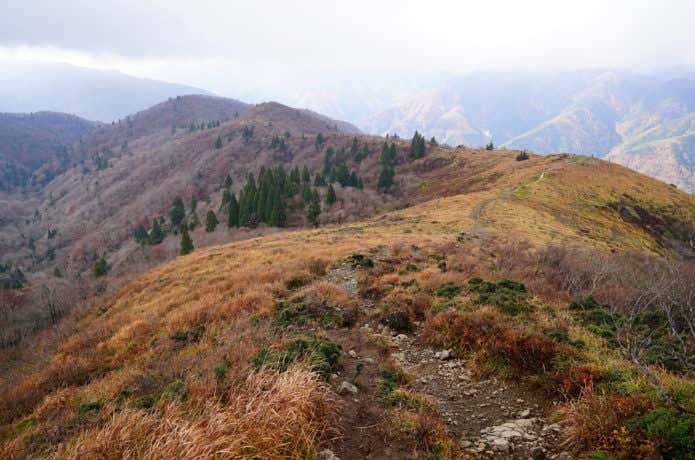 武奈ヶ岳山頂付近の稜線