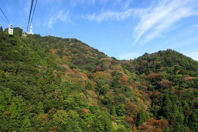 Facebook/摩耶山ポータルサイト mayasan.jp