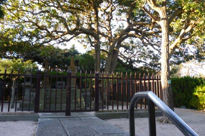塚山公園