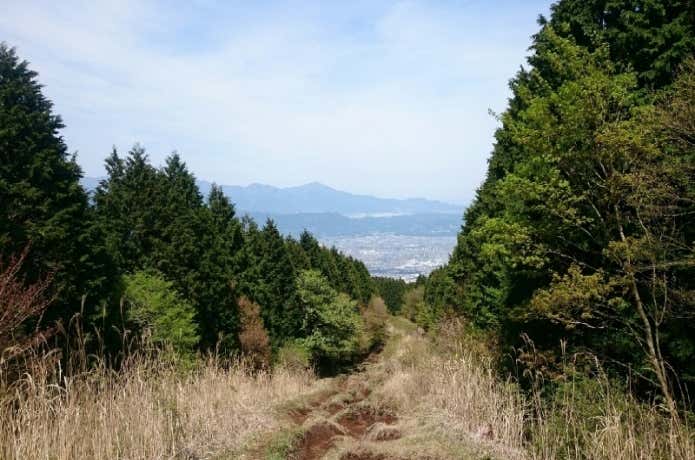下山道の丹沢の山々