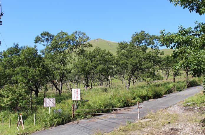 八丁原登山口