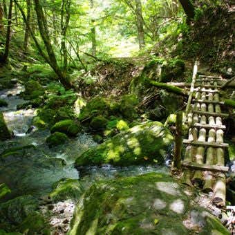 入笠山のテイ沢