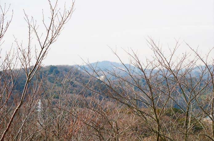 山頂