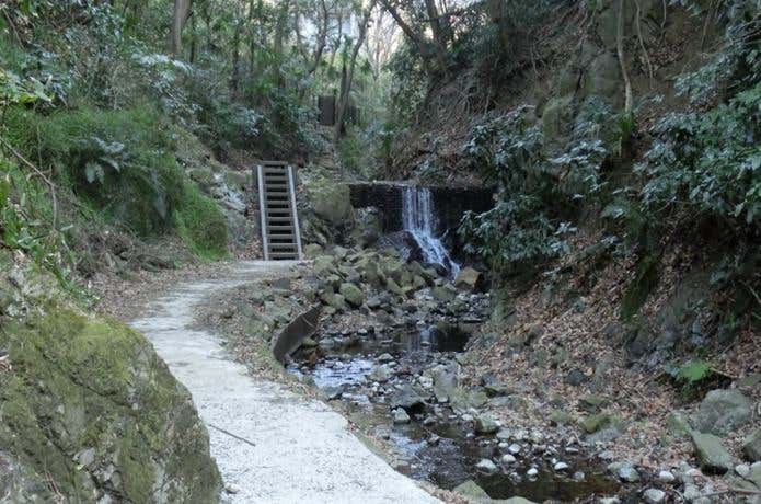 沢沿い