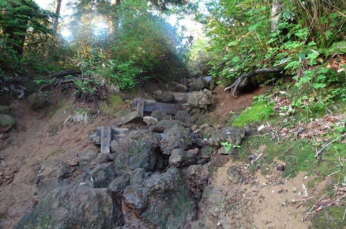 登山道