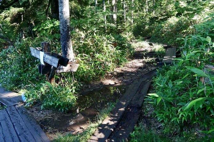 長英新道入口