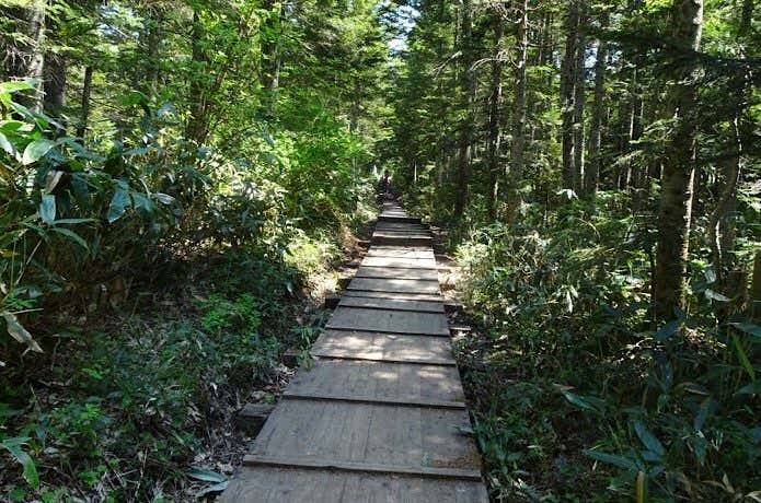 沼山峠への木道